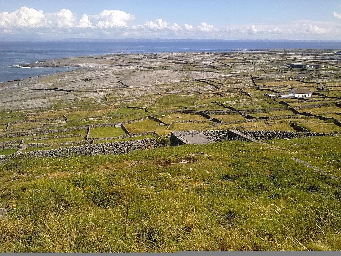 Áine de Blácam and Inis Meáin: Island Work, Family Continuity and Three Knitwear Designs